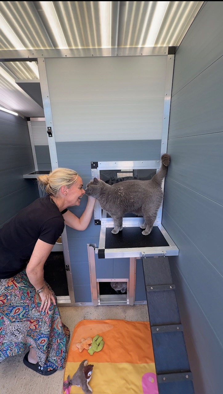 Rauceby Cattery